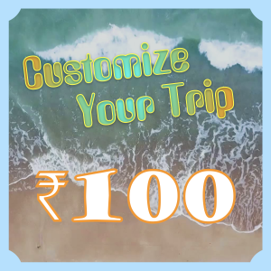 Customerize Trip Consultant